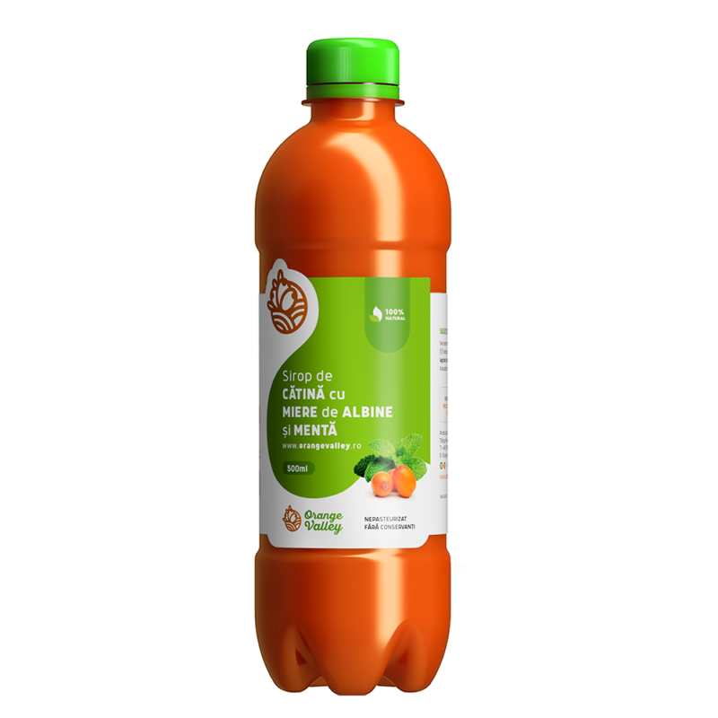 sirop-catina-menta-500ml-plastic-800x800.png